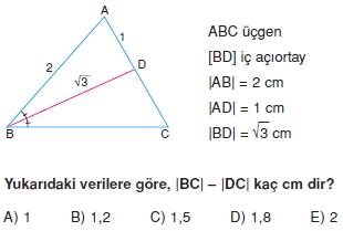 aciortay_kenarortay _konu_testi_7_011