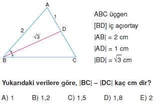 aciortay_kenarortay _konu_testi_7_011