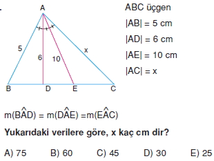 aciortay_kenarortay _konu_testi_7_013