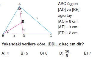 aciortay_kenarortay _konu_testi_7_016