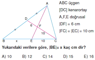 aciortay_kenarortay _konu_testi_8_003