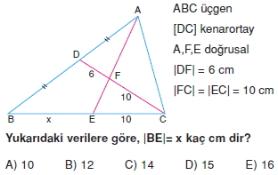 aciortay_kenarortay _konu_testi_8_003