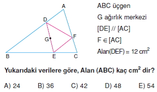 aciortay_kenarortay _konu_testi_8_006