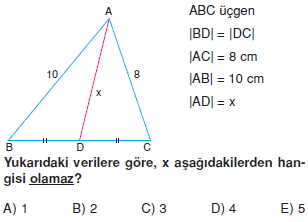 aciortay_kenarortay _konu_testi_8_007