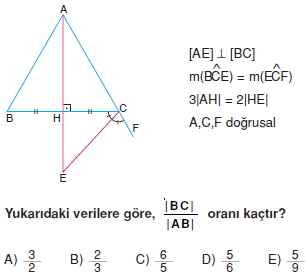 aciortay_kenarortay _konu_testi_8_011