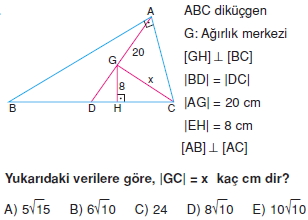 aciortay_kenarortay _konu_testi_8_012