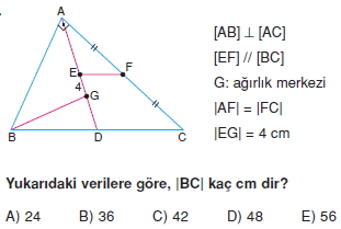 aciortay_kenarortay _konu_testi_8_014