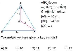 aciortay_kenarortay _konu_testi_8_016