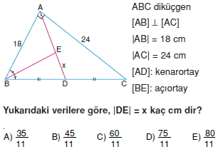 aciortay_kenarortay _konu_testi_9_001