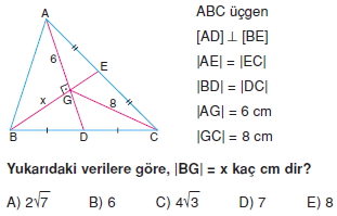 aciortay_kenarortay _konu_testi_9_002