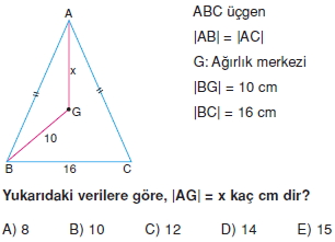 aciortay_kenarortay _konu_testi_9_004