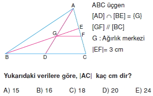 aciortay_kenarortay _konu_testi_9_005