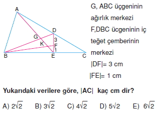 aciortay_kenarortay _konu_testi_9_009