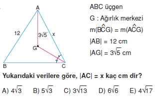 aciortay_kenarortay _konu_testi_9_010