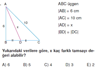 aciortay_kenarortay _konu_testi_9_013