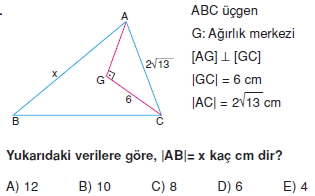 aciortay_kenarortay _konu_testi_9_014