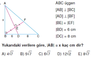 aciortay_kenarortay _konu_testi_9_015