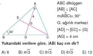 aciortay_kenarortay _konu_testi_9_016