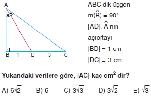 aciortay_kenarortay_cozumlu_test_I_001