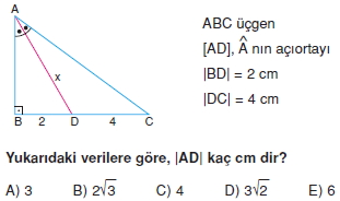 aciortay_kenarortay_cozumlu_test_I_002