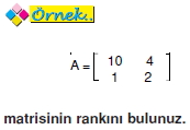 bir-matrisin-ranki_003