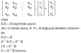 bir-matrisin-ranki_005