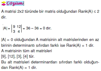 bir-matrisin-ranki_006