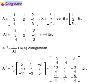 bir-matrisin-ranki_012