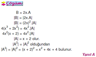 determinantin_ozellikleri_029