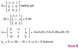 dogrusal-leneer-denklem-sistemlerinin-cramer-metodu-ile-cozumu_007