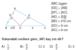 ucgende_aci_kenar_agintilari_konu_testi_3 _008