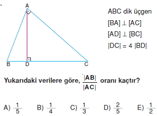 ucgende_aci_kenar_agintilari_konu_testi_3 _012