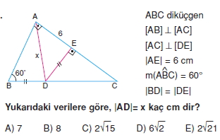 ucgende_aci_kenar_agintilari_konu_testi_3 _014