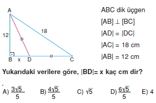 ucgende_aci_kenar_agintilari_konu_testi_3 _015