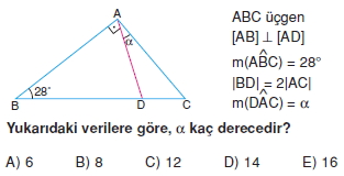 ucgende_aci_kenar_agintilari_konu_testi_4 _005