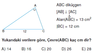 ucgende_aci_kenar_agintilari_konu_testi_4 _007