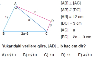 ucgende_aci_kenar_agintilari_konu_testi_4 _011