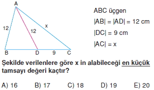 ucgende_aci_kenar_agintilari_konu_testi_6_I_006