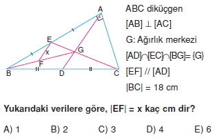 aciortay_kenarortay _konu_testi_10_001