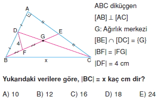 aciortay_kenarortay _konu_testi_10_003