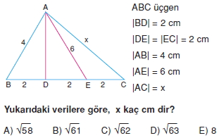 aciortay_kenarortay _konu_testi_10_005