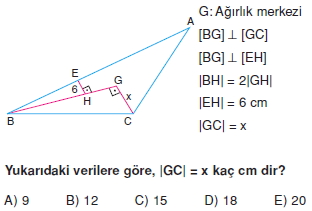 aciortay_kenarortay _konu_testi_10_007