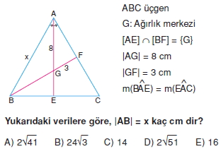 aciortay_kenarortay _konu_testi_10_008