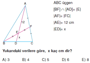 aciortay_kenarortay _konu_testi_10_009