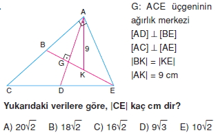 aciortay_kenarortay _konu_testi_10_013