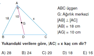 aciortay_kenarortay _konu_testi_10_016