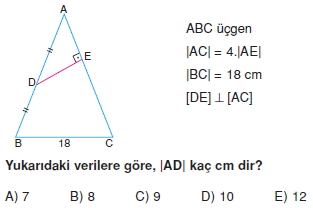 aciortay_kenarortay _konu_testi_11_002