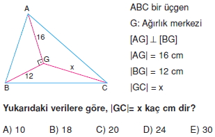 aciortay_kenarortay _konu_testi_11_003