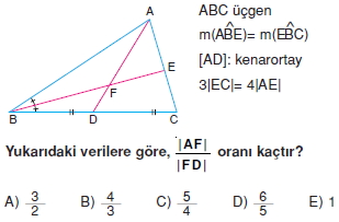 aciortay_kenarortay _konu_testi_11_005