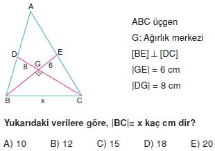 aciortay_kenarortay _konu_testi_11_005